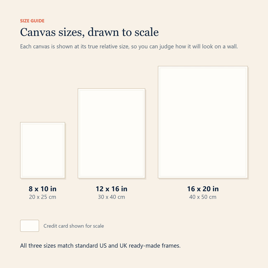 Canvas size guide showing 8 x 10, 12 x 16 and 16 x 20 inch sizes drawn to scale