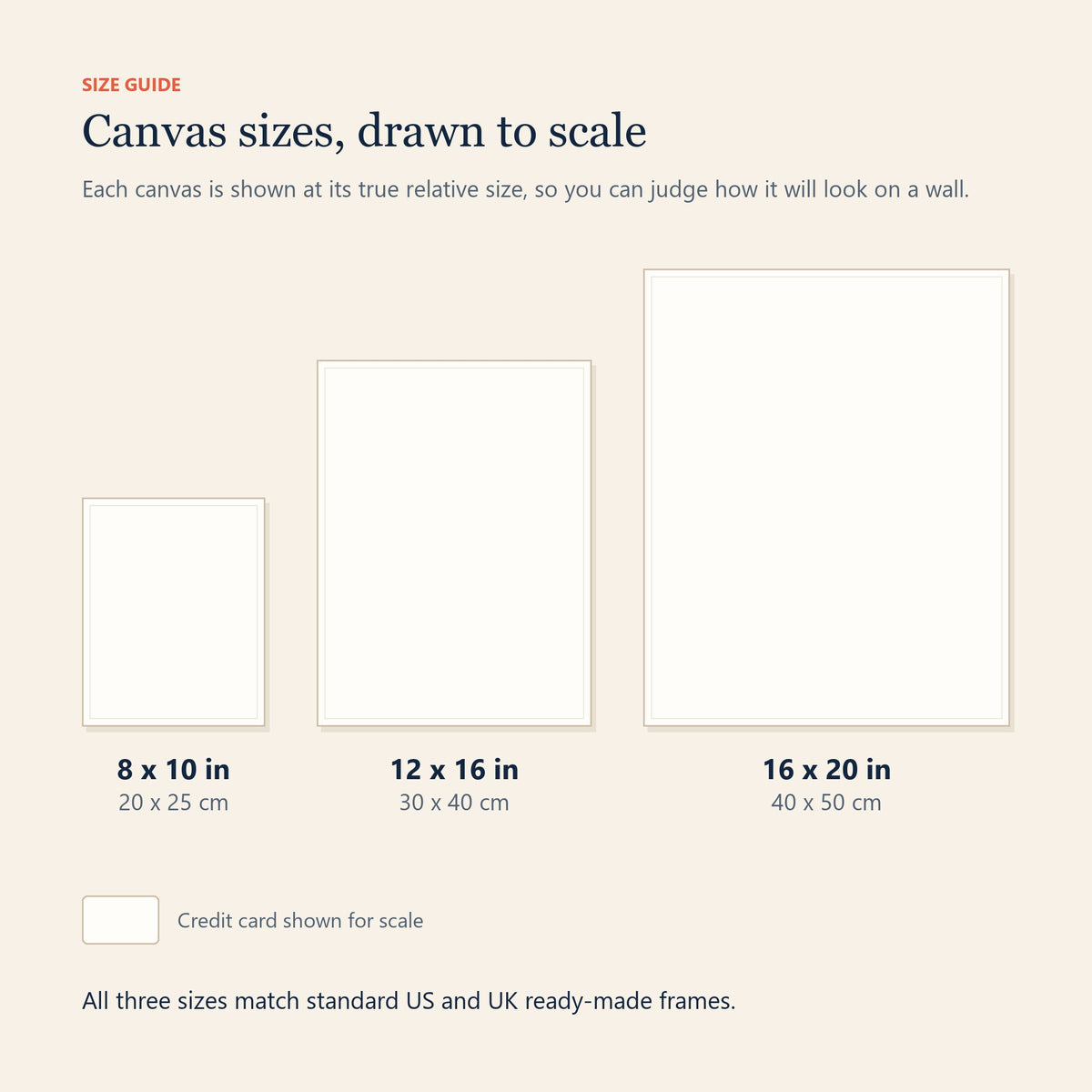 Canvas size guide showing 8 x 10, 12 x 16 and 16 x 20 inch sizes drawn to scale