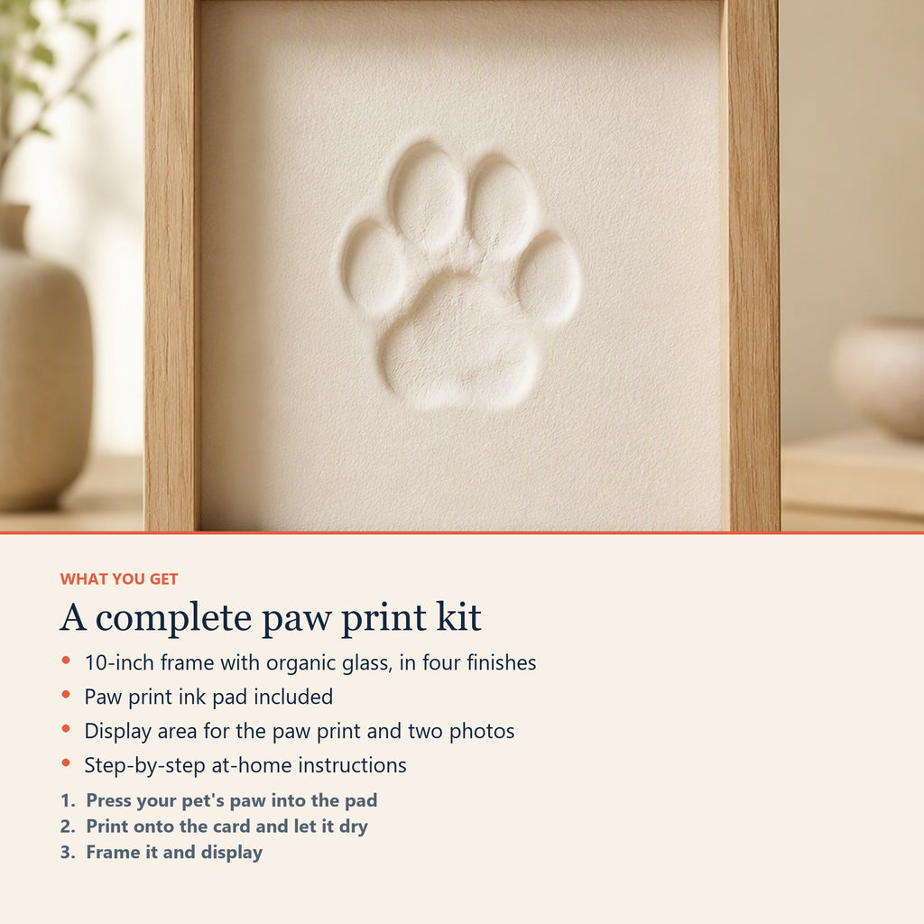 What you get in the DIY pet paw print frame kit, plus three steps
